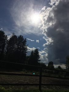 M en el Cielo
